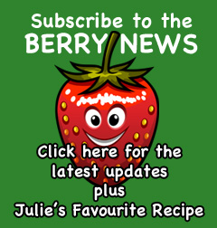Berry News Subscription